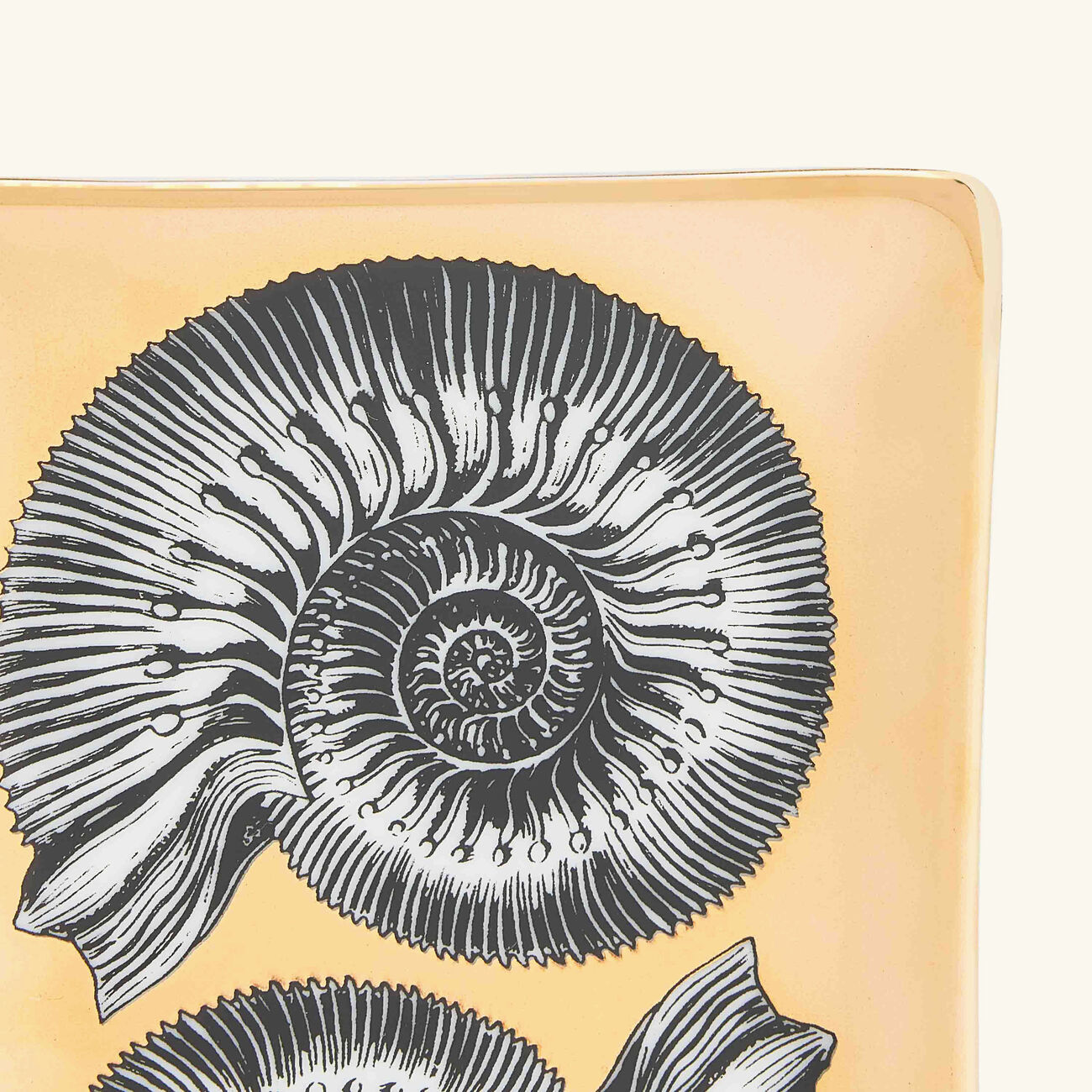 fornasetti giro di conchiglie ashtray rectangular small gold