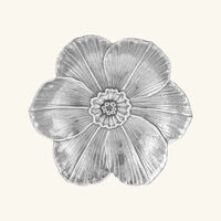 بوتشيلاتي وعاء على شكل زهرة النرجس فضي بحجم صغير