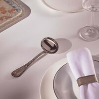 كريستوفل ملعقة تقديم الصلصات جاردان ديدن باللون الفضي