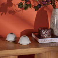 bernardaud l ann e du chien lithophanie