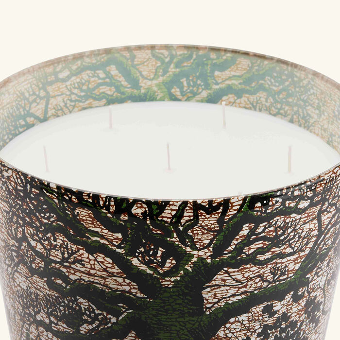 baobab collection sacred trees kani candle maxi max