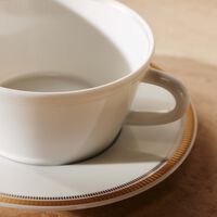 bernardaud gage tea tea cup saucer white