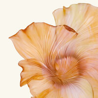 daum croisi re centerpiece yellow