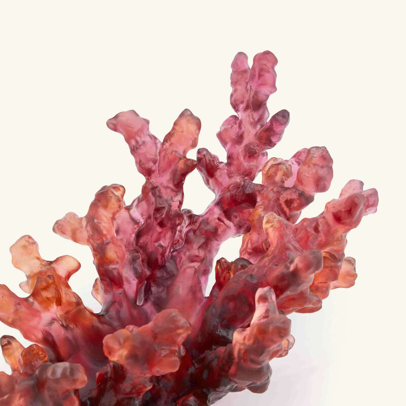 Mer de Corail Centerpiece Orange daum mer de corail centerpiece orange
