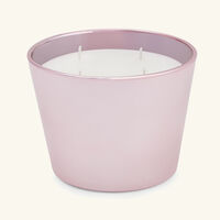 baobab collection roseum candle max 10