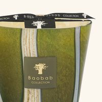 باوباب شمعة وودز شيروود المعطرة ماكس 16