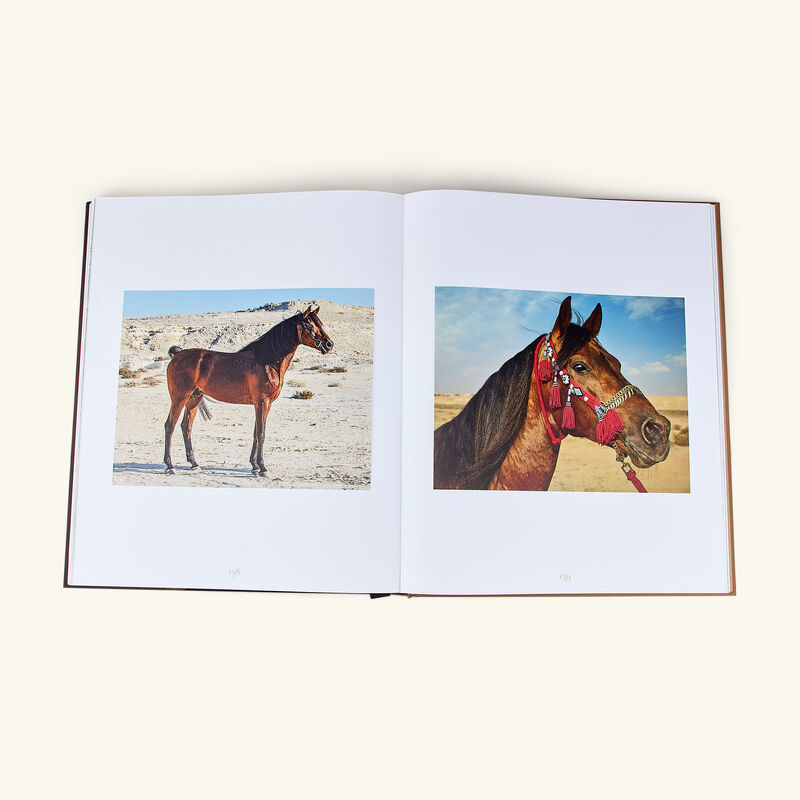 كتاب الإسطبلات الملكية في البحرين: إرث الخيول العربية 10×16 سم آسولين كتاب الإسطبلات الملكية في البحرين إرث الخيول العربية 10 16 سم