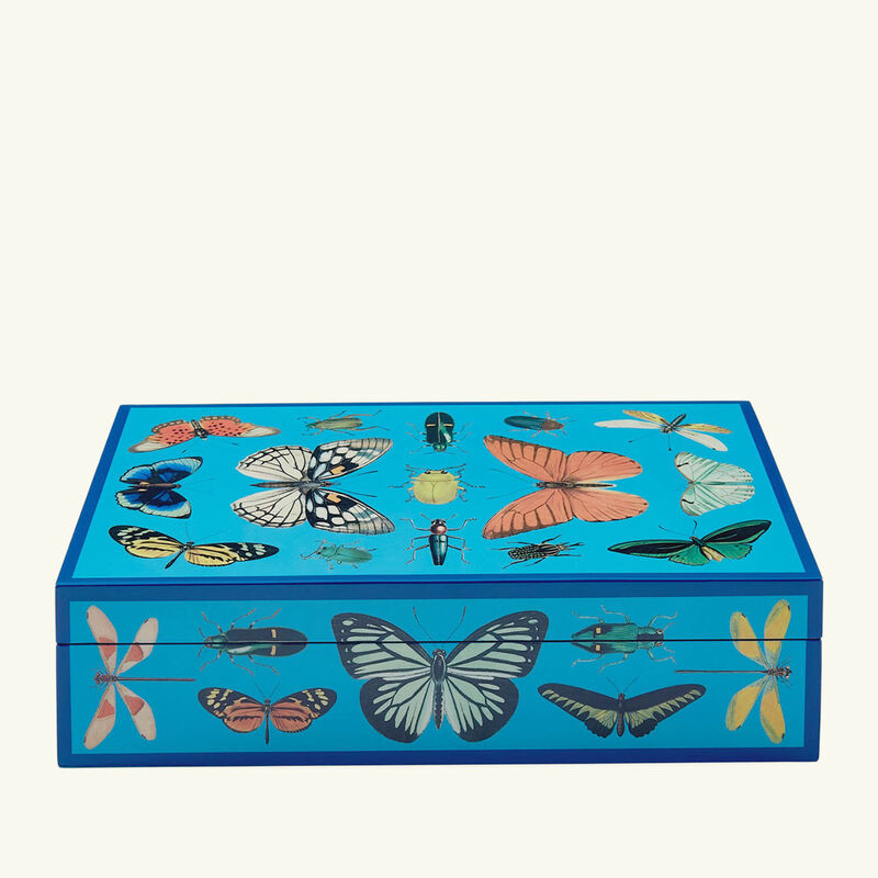 جوناثان أدلر علبة بوتانيست زرقاء