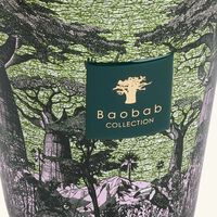 Sacred Trees Touba Candle Max 16 baobab collection sacred trees touba candle max 16