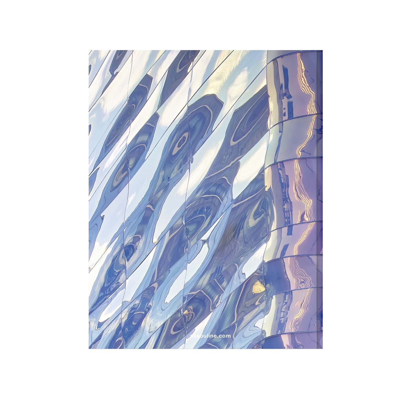 آسولين كتاب  لويس فيتون سكين  هندسة الفخامة   النسخة الخاصة بطوكيو