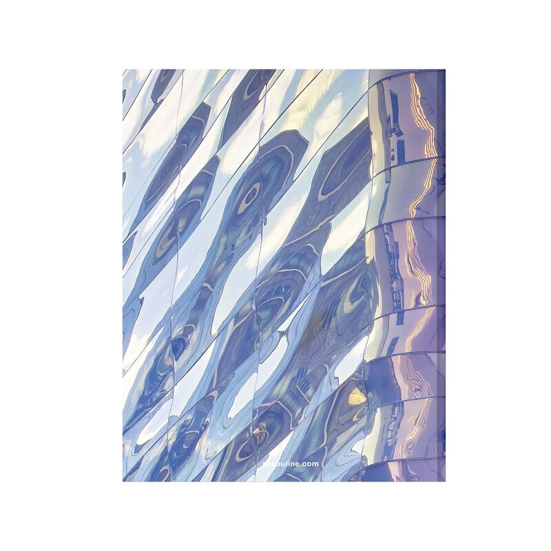 كتاب "لويس فيتون سكين: هندسة الفخامة" (النسخة الخاصة بطوكيو) آسولين كتاب لويس فيتون سكين هندسة الفخامة النسخة الخاصة بطوكيو