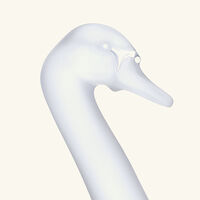 lalique swan head up sculpture small clear