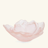 daum camellia centerpiece pink
