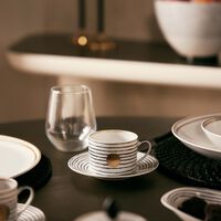 bernardaud aboro tea cup saucer pattern