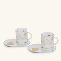 dimlaj hayat mug and saucer gold set of 4
