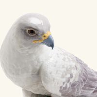 3000