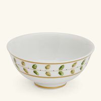 bernardaud constance soup bowl green
