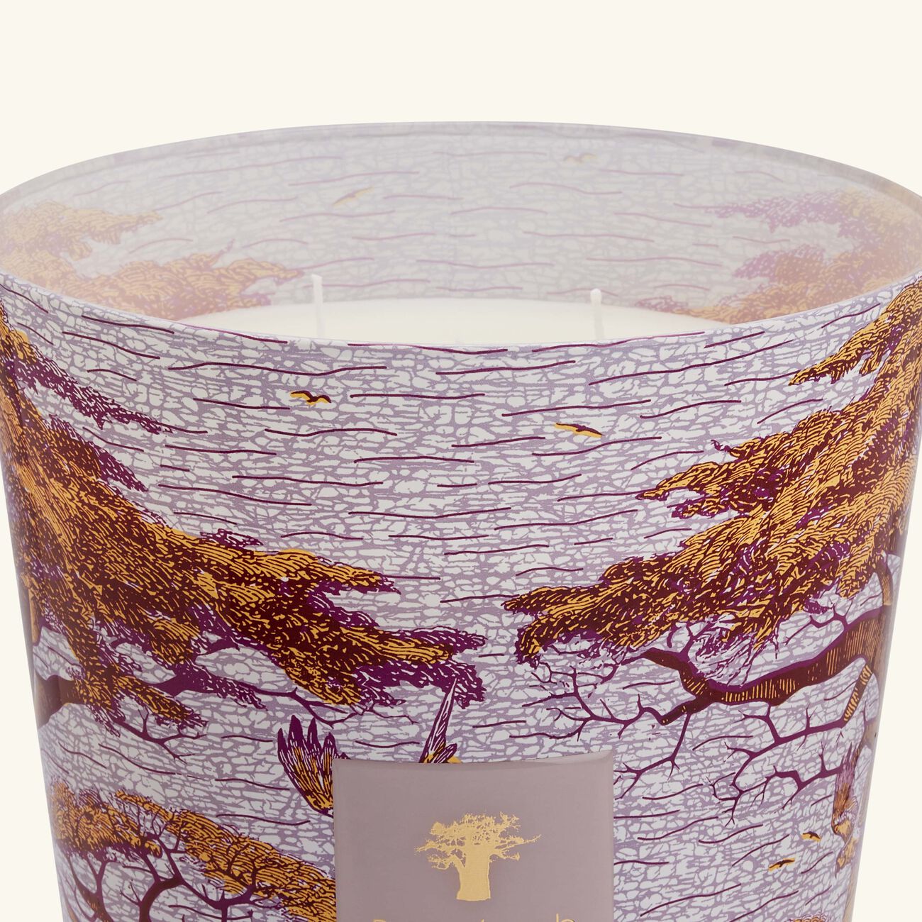 baobab collection sacred trees massasso candle max 35