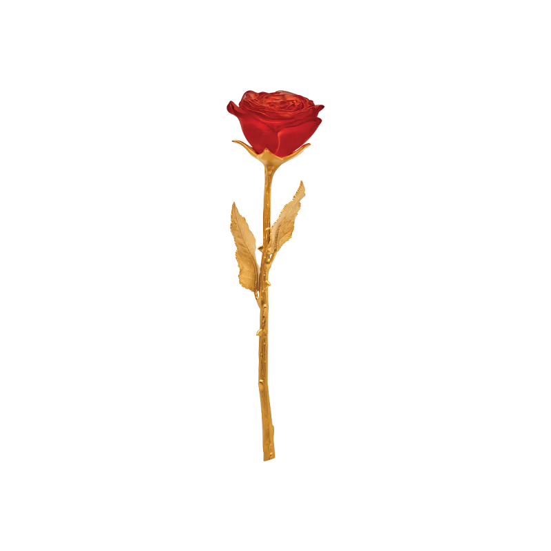 Eternal Rose, large