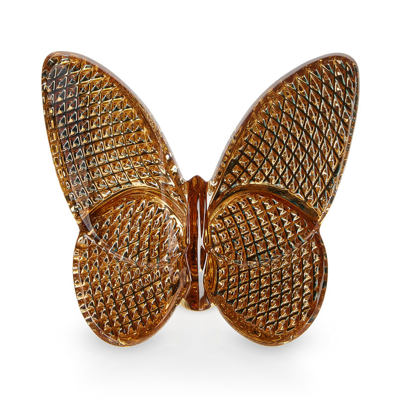الفراشة المحظوظة, large