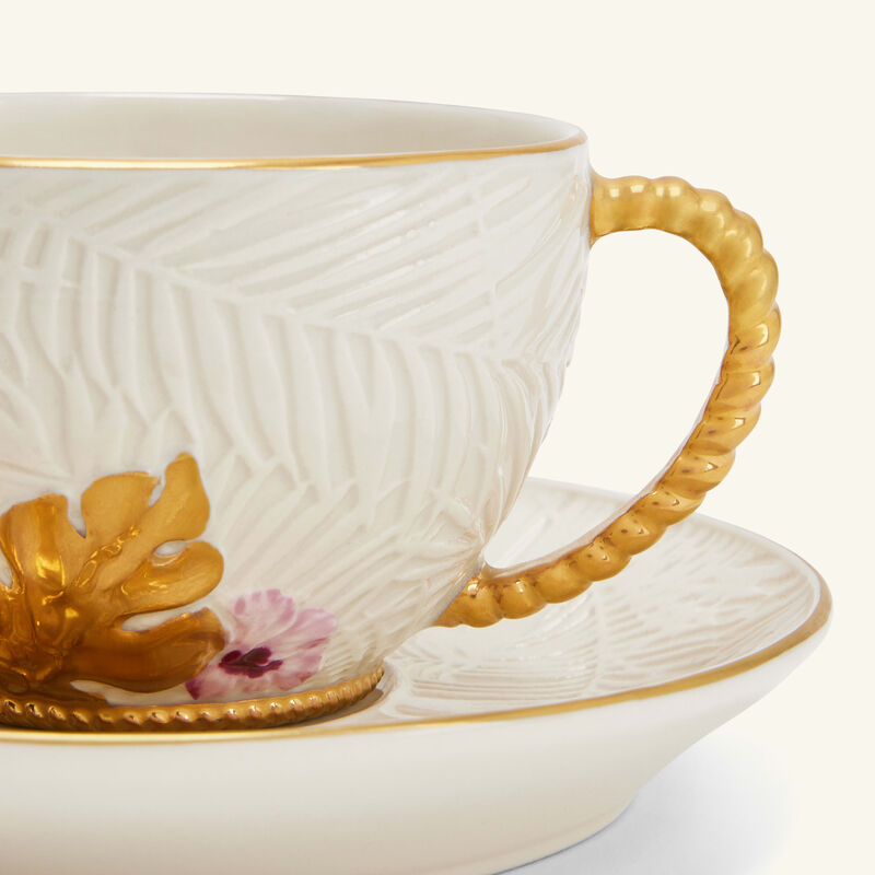 فنجان الشاي أكابولكو مع صحنه أبيض فيلاري فنجان الشاي أكابولكو مع صحنه أبيض