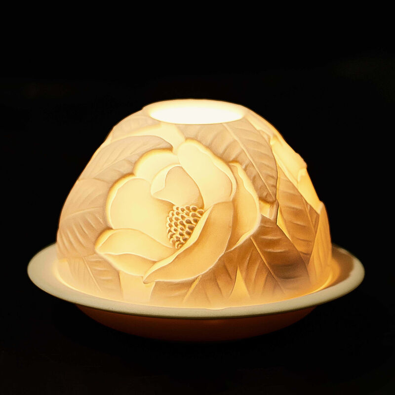 مصباح ليثوفاني ماغنوليا بلوسومز برناردو مصباح ليثوفاني ماغنوليا بلوسومز