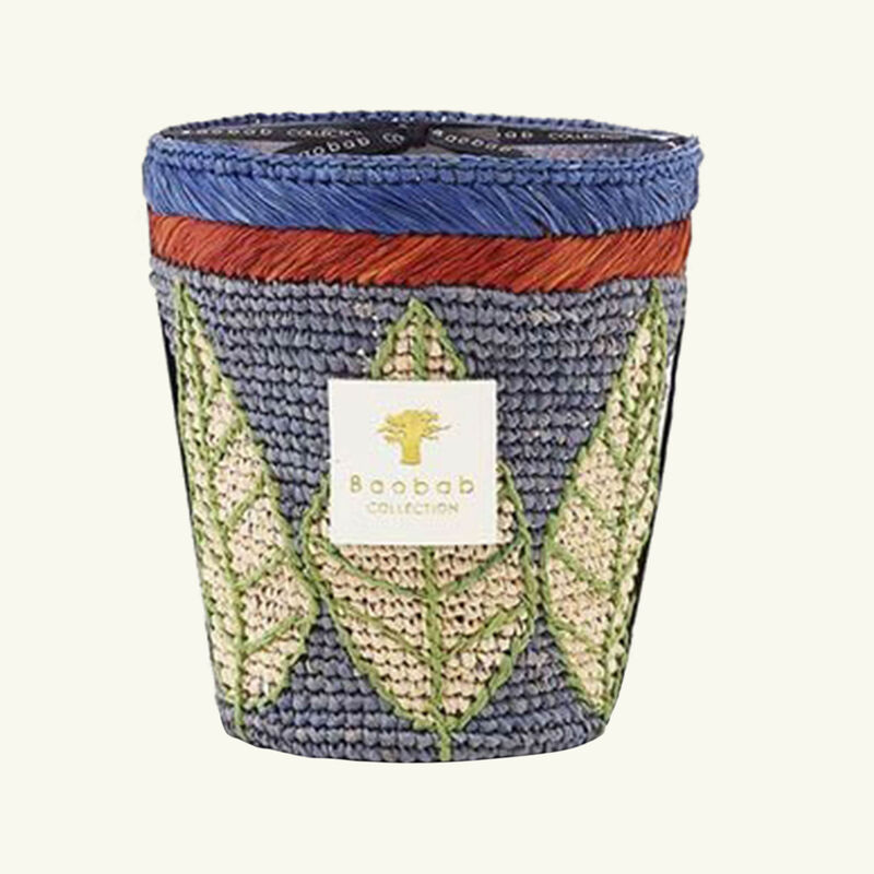 baobab collection ravintsara manga candle max 16