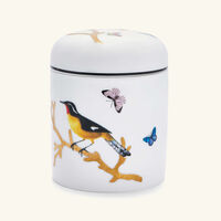 bernardaud aux oiseaux box white