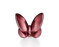 Lucky Butterfly Lucky Butterfly, small