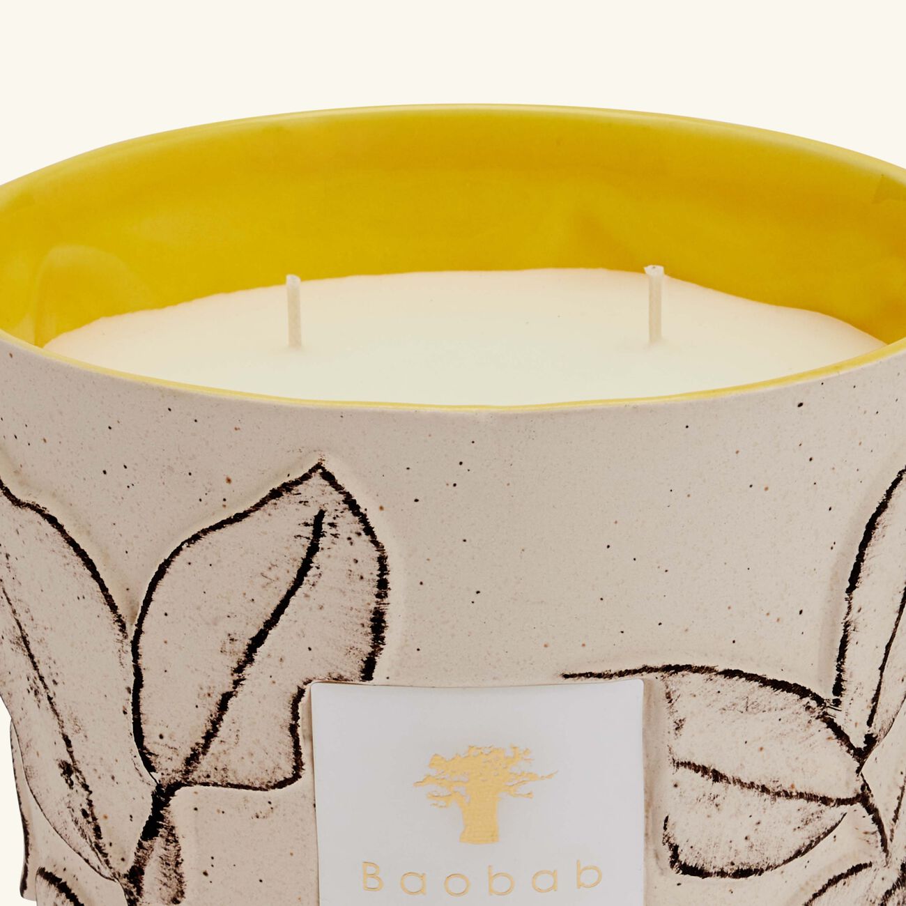 baobab collection folia calanque candle max 16