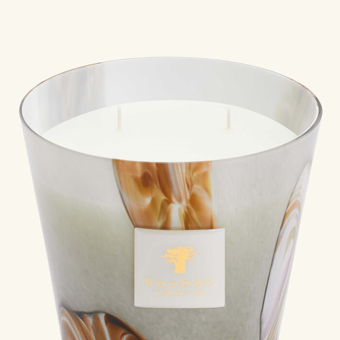 baobab collection oceania anangu candle max 16