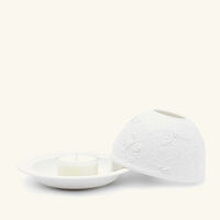 مصباح ليثوفاني باترفلايز إن فلايت برناردو مصباح ليثوفاني باترفلايز إن فلايت