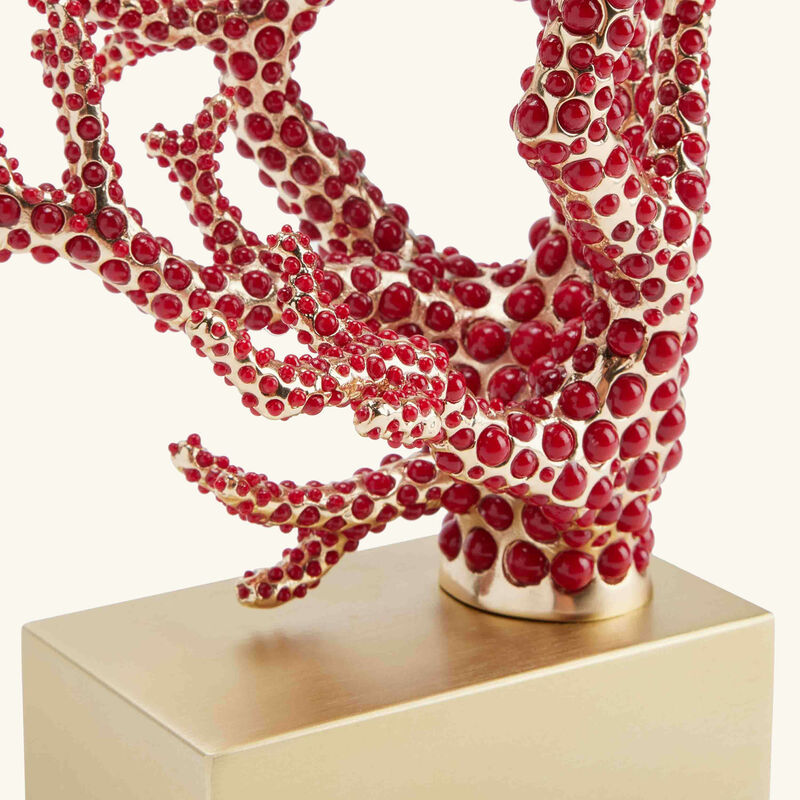 Coral Left Bookend Red l objet coral left bookend red