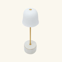 bernardaud campanule sauvage lamp