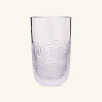 ruckl heroine roses tall drinking glass clear