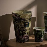 baobab collection sacred trees touba candle max 35