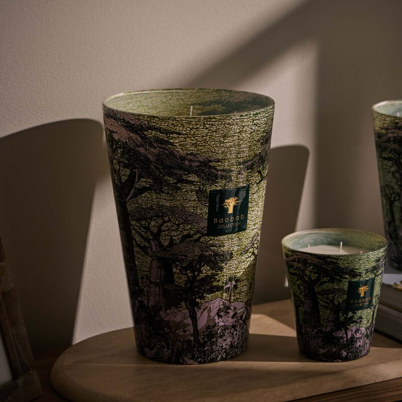 baobab collection sacred trees touba candle max 35