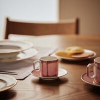 rosenthal signum rose coffee cup saucer pink
