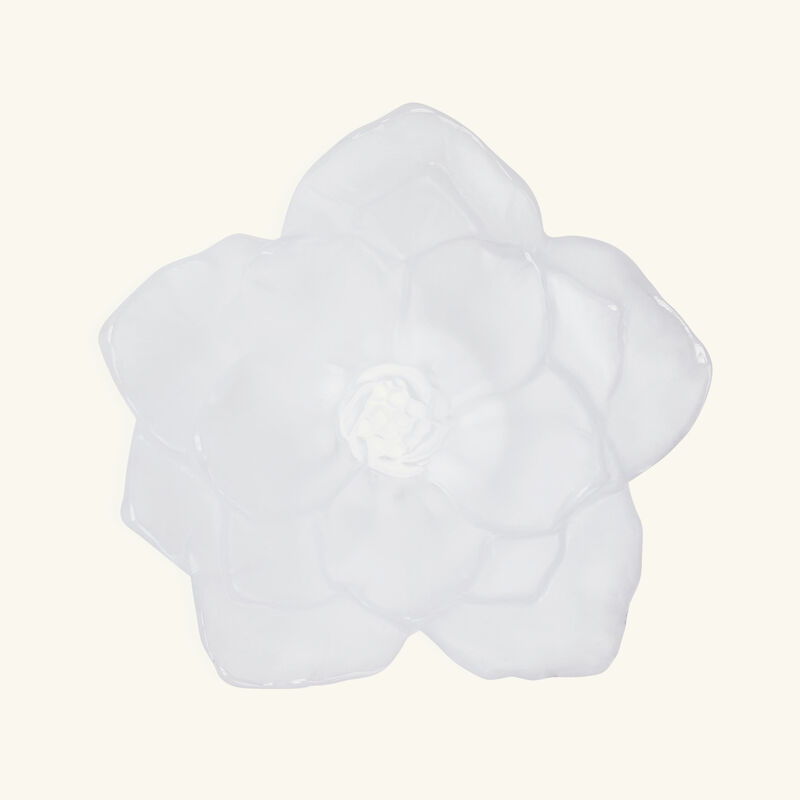 daum camellia centerpiece white