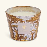 Sacred Trees Boukani Candle Max 10 baobab collection sacred trees boukani candle max 10