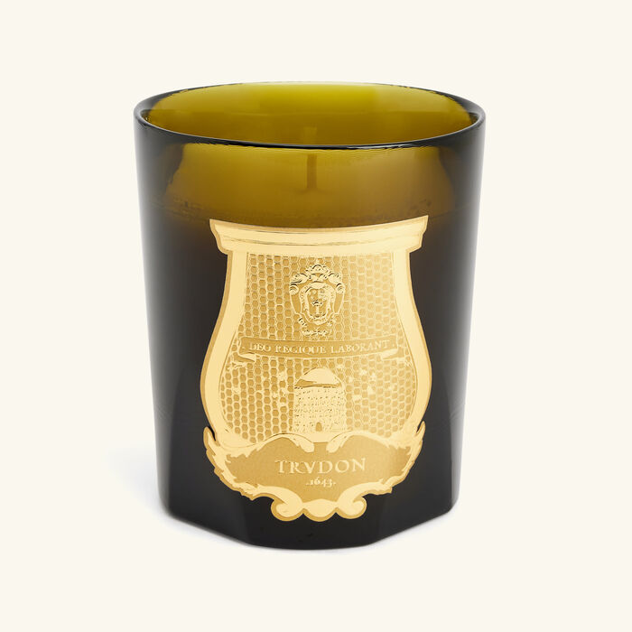 trudon ernesto classic candle 270g