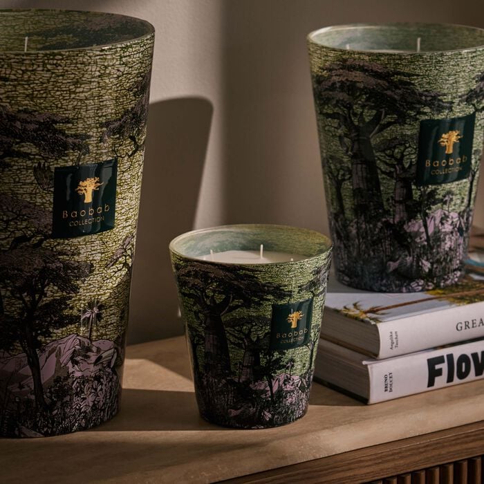 baobab collection sacred trees touba candle max 16