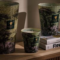Sacred Trees Touba Candle Max 16 baobab collection sacred trees touba candle max 16