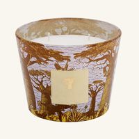 Sacred Trees Cocody Candle Max 10 baobab collection sacred trees cocody candle max 10