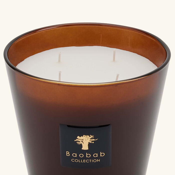 baobab collection cuir de russie candle max 16