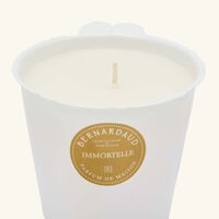 Immortal Candle Refill bernardaud immortal candle refill