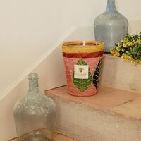 baobab collection ravintsara hanitra candle max 16
