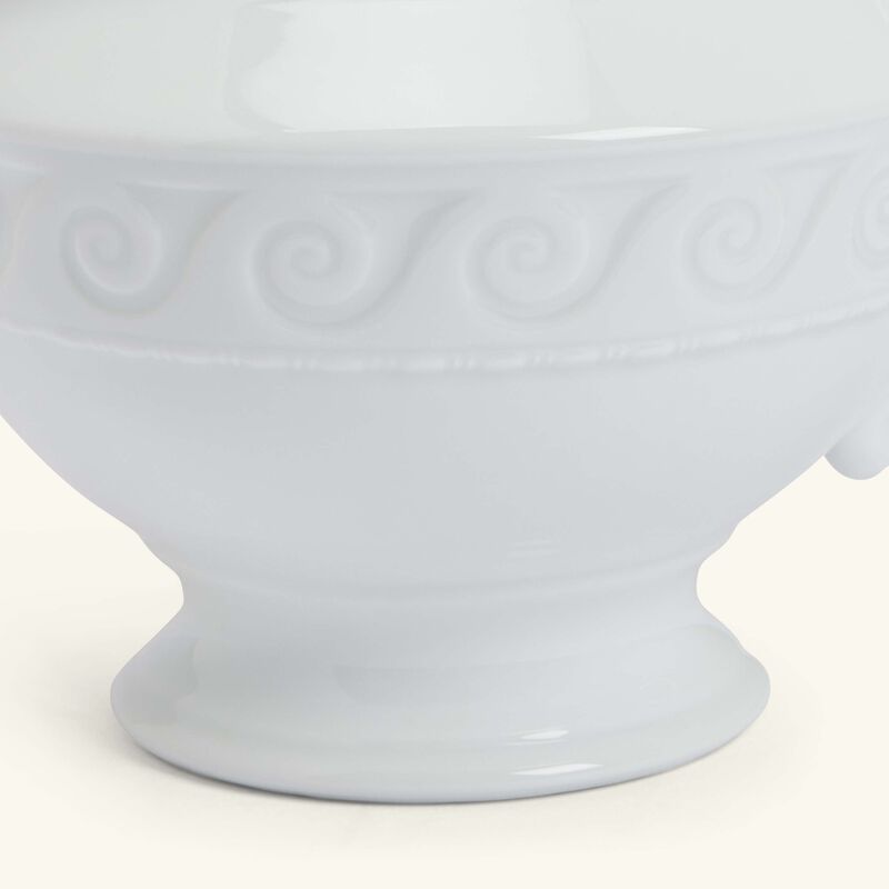 برناردو سكرية برايانا خضراء