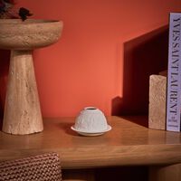 bernardaud dogs lithophanie