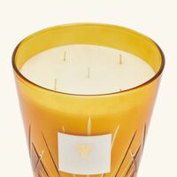 baobab collection palma candle max 24
